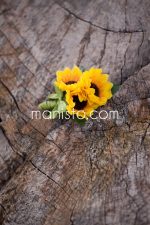 Бутониера Слънчогледи