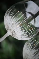 сватбен бокал, червено вино, бокал за църквата, сватба