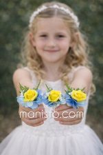 Бутониера  Хортензия и роза- жълто и синьо